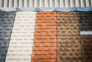 Understanding the Various Types of Roofs