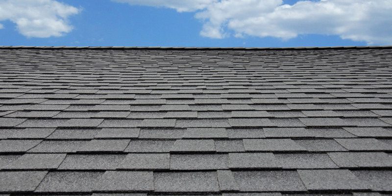 We deal with all types of roofing, including flat, shingle, metal, tile, and terra cotta roofing and even mobile home roofing.