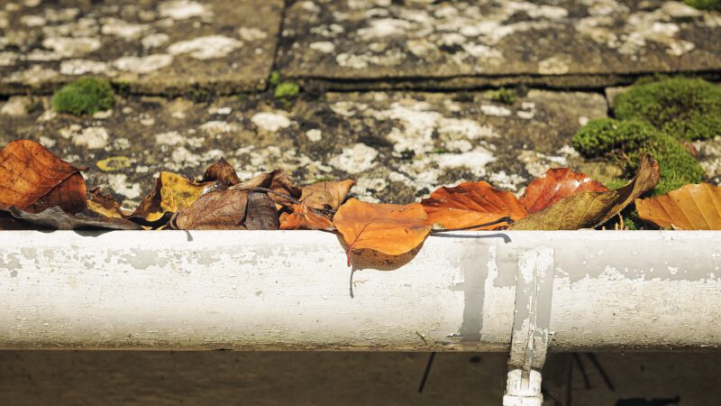 Three Reasons You Should Consider Roof Cleaning
